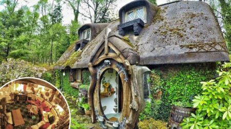 Hombre transforma cobertizo en una “casa de hobbit” que parece sacada del Señor de los Anillos