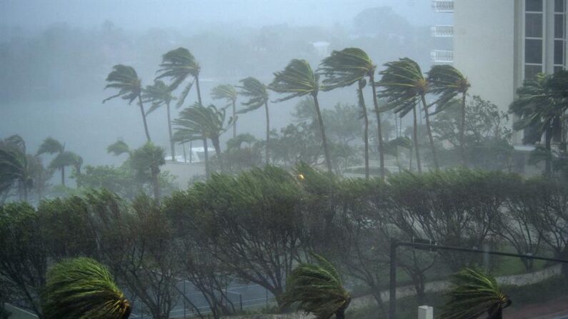 Fotografía de archivo de una tormenta tropical. EFE/Giorgio Viera
