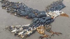FOTOS: Familia crea impresionantes obras de arte con piedras, convierten el tiempo de playa en bienestar