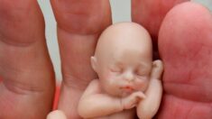 Prohibición del aborto en Indiana sigue bloqueada tras fallo de corte, a la espera de audiencia en enero