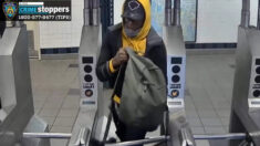 2 pasajeros caen a las vías del metro de Nueva York este fin de semana en 2 asaltos sin provocación