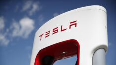 Tesla podría anunciar en próximos días una nueva fábrica al norte de México