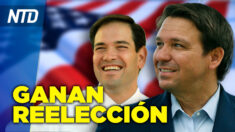 Ron DeSantis y Marco Rubio son reelegidos; Autoridades de Illinois investigan ciberataques