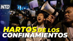 NTD Día (28 nov) Estallan protestas masivas en toda China; Preaprueban a migrantes en México