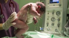 Insólito caso: Nace una bebé con ocho embriones en su interior