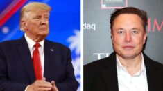 Trump confirma que se reunió con Elon Musk: «Me cayó bien»