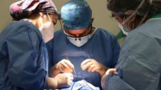 Mujer ingresa a cirugía de útero y luego se da cuenta que le «robaron» ambos riñones