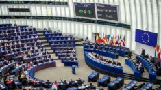 Parlamento Europeo declara a Rusia Estado «promotor del terrorismo»