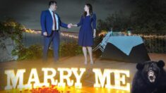 Oso salvaje interrumpe cómicamente una propuesta de matrimonio cruzando frente a la romántica escena
