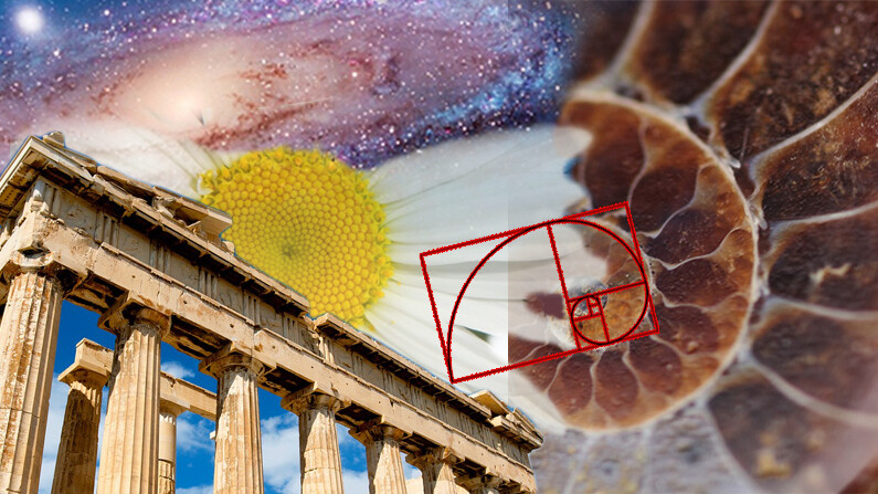 Imagen compuesta es de The Epoch Times (El universo, la flor, el fósil de caracol, el templo griego son de Creative Commons CC0/PxHere y la proporción aúrea es de PNG EGG)