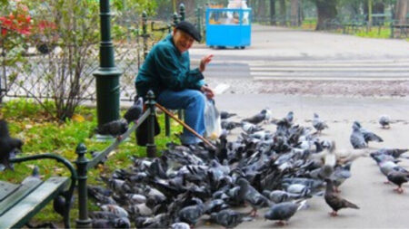 Estar cerca de las aves puede brindarle beneficios duraderos para mejorar su estado de ánimo