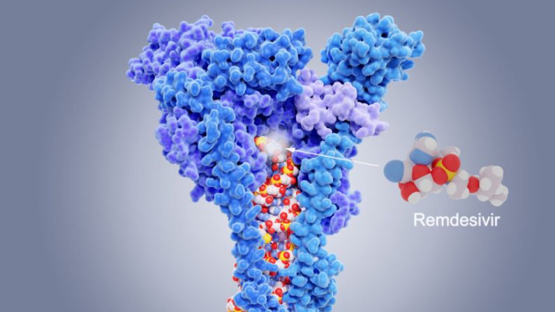 Modelos moleculares del fármaco análogo de los nucleótidos remdesivir (derecha) y de su objetivo, la enzima ARN polimerasa (ácido ribonucleico) dependiente del ARN (RdRp, centro) del coronavirus SARS-CoV-2. (JUAN GAERTNER/SCIENCE PHOTO LIBRARY/Getty Images)