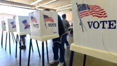 Más de 34 millones votaron por anticipado, investigadores revelan los estados con mayor número