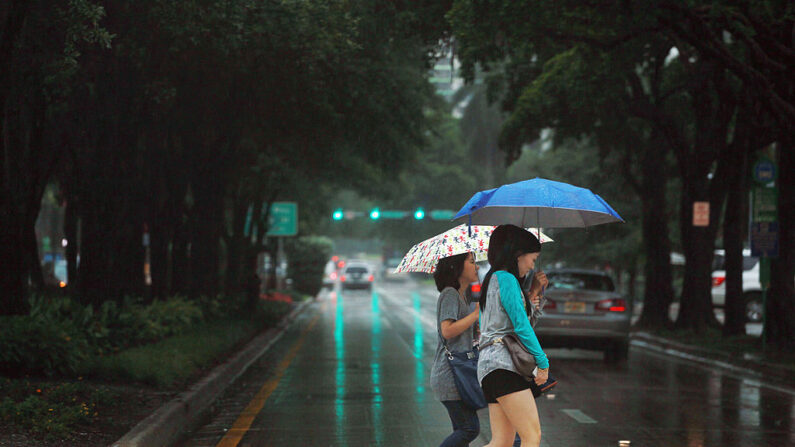 Dos mujeres caminan bajo paraguas bajo la lluvia de las bandas exteriores de la tormenta tropical Nicole el 29 de septiembre de 2010 en Miami, Florida. (Joe Raedle/Getty Images)