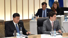 Líder chino Xi confronta a Trudeau en el G20 por las discusiones «filtradas» a la prensa