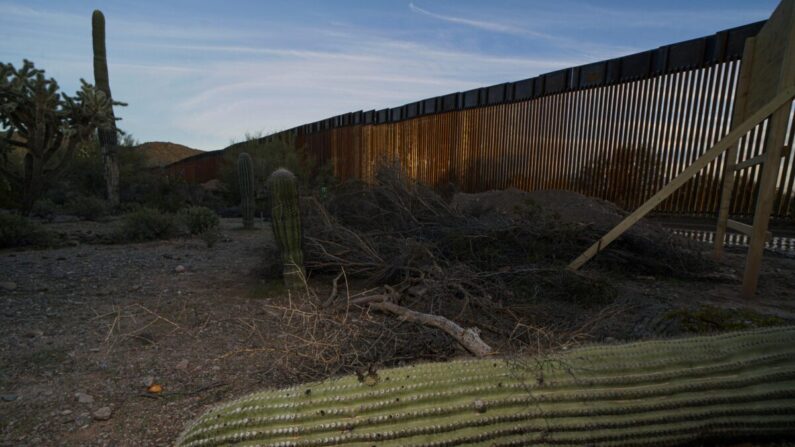Un cactus muerto se ve en el suelo cerca del muro fronterizo entre Estados Unidos y México en el Parque Nacional Organ Pipe al sur de Ajo, Arizona, el 13 de febrero de 2020. Sandy Huffaker/AFP vía Getty Images)
