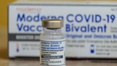 Moderna y organismos reguladores son sorprendidos omitiendo datos sobre la vacuna bivalente