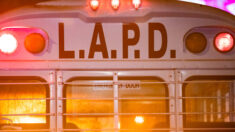 Comisión de la Policía de Los Ángeles aumenta su presupuesto en 119 millones de dólares