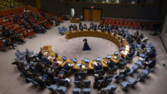 Consejo de Seguridad de la ONU bloquea peticiones rusas para investigar armas biológicas en Ucrania