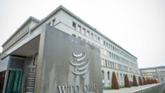 La OMC pregunta cómo «rediseñar la arquitectura financiera mundial» por el cambio climático
