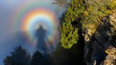 Fotógrafo Meteorológico del 2022: Fotos espectaculares celebran místicos ánimos de la naturaleza