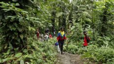 Más de 100,000 migrantes ilegales ya cruzaron la selva del Darién este año