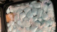 Crisis del fentanilo impulsada por China “podría considerarse como un genocidio contra EE. UU.”, dice analista