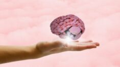 ¿Está el exceso de hierro en el cerebro causando Alzheimer?