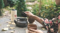 Estudio japonés: Extracto de té verde es prometedor para pacientes en quimioterapia
