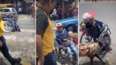 Leal perro empuja a su dueño con discapacidad en silla de ruedas por las calles en México