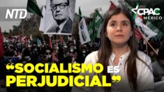 El socialismo quita la dignidad a las personas, dice diputada Chiara Barchiesi