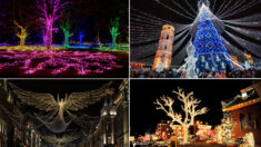 Fotos: Las luces navideñas más fascinantes del mundo