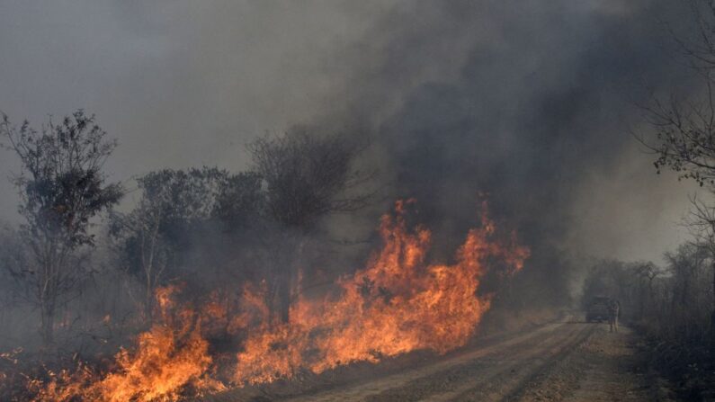 En una fotografía de archivo, una vista de un incendio forestal en San Matías, región de la Chiquitania, departamento de Santa Cruz, Bolivia, el 20 de agosto de 2021. (Aizar Raldes/AFP vía Getty Images)