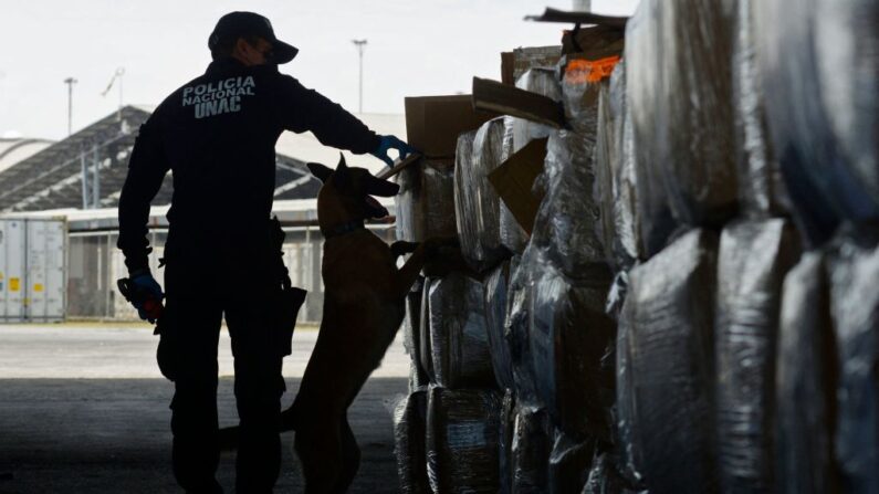 Un miembro de la Unidad de Información Portuaria de la Policía Antinarcóticos y un doh revisan maletas en el puerto de Guayaquil, Ecuador, el 12 de abril de 2022. (Marcos Pin/AFP vía Getty Images)
