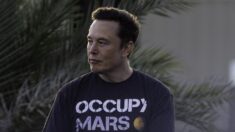 Elon Musk postea video de individuo que presuntamente acosó el auto en el que iba su hijo