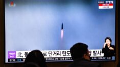 Seúl responde a Pionyang enviando sus propios drones a Corea del Norte