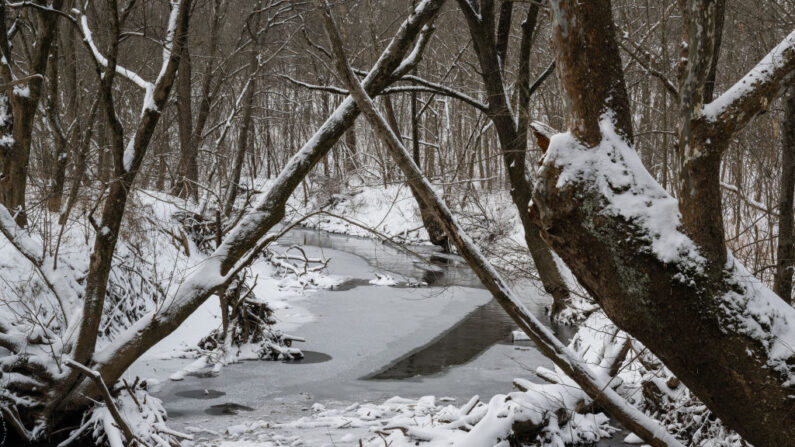 Un arroyo congelado y el bosque se ve durante una tormenta de invierno el 23 de diciembre de 2022 en Louisville, Kentucky. Se esperan fuertes precipitaciones invernales y temperaturas 40 grados por debajo de la media durante todo el fin de semana de Navidad en gran parte de Estados Unidos. (Jon Cherry/Getty Images)