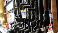 La ciudad de Buffalo demanda a fabricantes de armas alegando que están alimentando la violencia