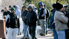 EE.UU. actualiza trámites de solicitud de visas para trabajadores temporales