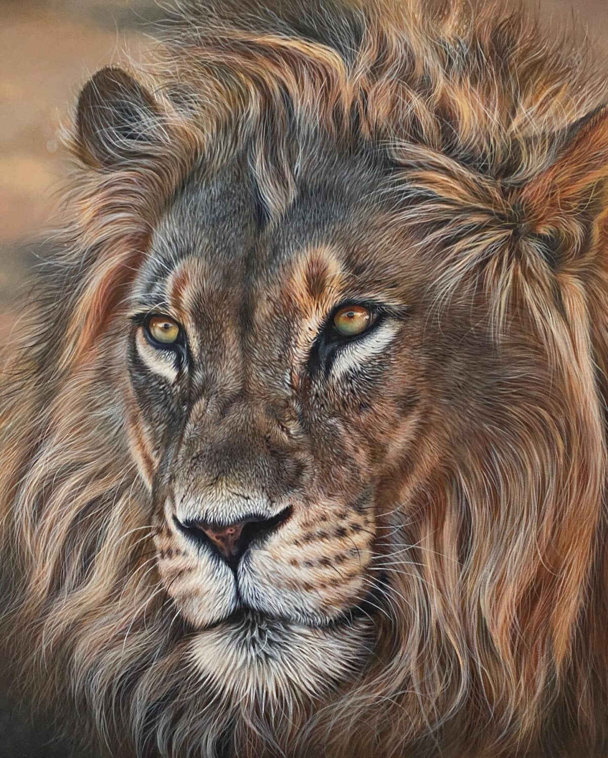 Comisión pintura acrílica de un león macho por Julie Rhodes. (Cortesía de Julie Rhodes )