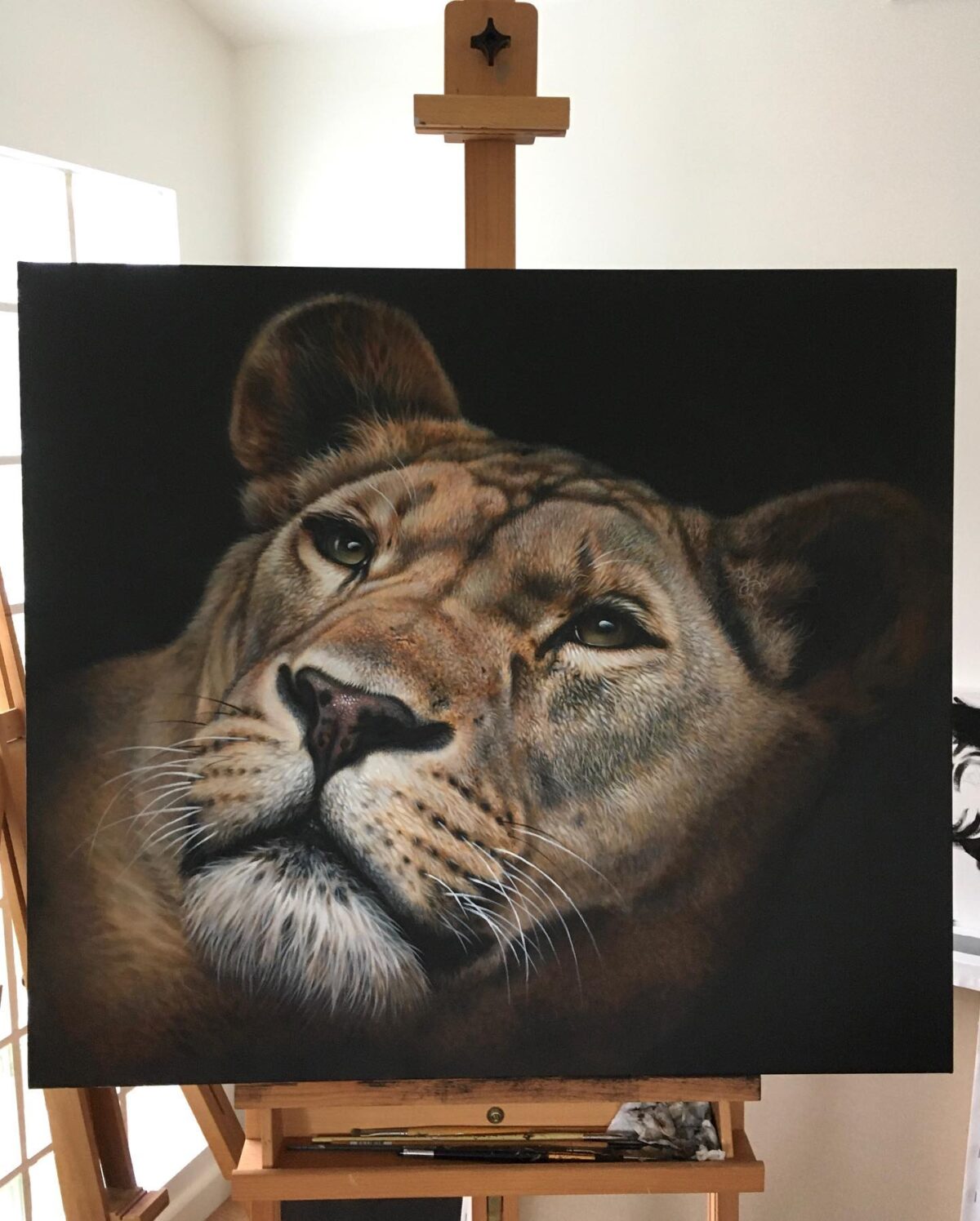  Pintura acrílica de una leona de Julie Rhodes. (Cortesía de Julie Rhodes )