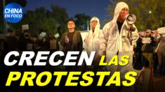 Crecen las protestas en China y despiertan manifestaciones en todo el mundo