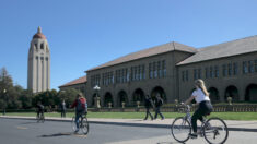 Stanford actualiza guía para anular el «lenguaje nocivo» que incluye palabras como «hombre» y «americano»