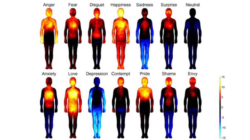 Topografía corporal de las emociones básicas (Superior) y no básicas (Inferior) asociadas a las palabras. (Foto del estudio de investigación finlandés de 2013 publicado en PNAS)