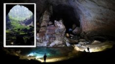 Como en «Mundo Jurásico»: Aldeano tropieza con la cueva más grande del mundo oculta en la selva