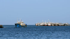 Administración Biden sanciona a empresas pesqueras chinas por abusos contra los derechos humanos