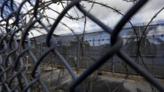 Encarcelan a anciana de 80 años por amenazar a su nieta en Puerto Rico