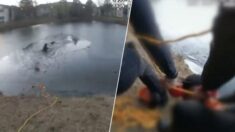 Dramático video capta a policías rescatando a un niño de 9 años y a una mujer de un estanque helado
