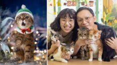 La vida de un fotógrafo de gatos: “Es increíble ver dos especies distintas que se aman profundamente”