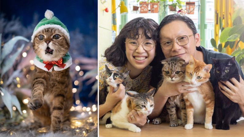 La vida de un fotógrafo de gatos: "Es increíble ver dos especies distintas que se aman profundamente"